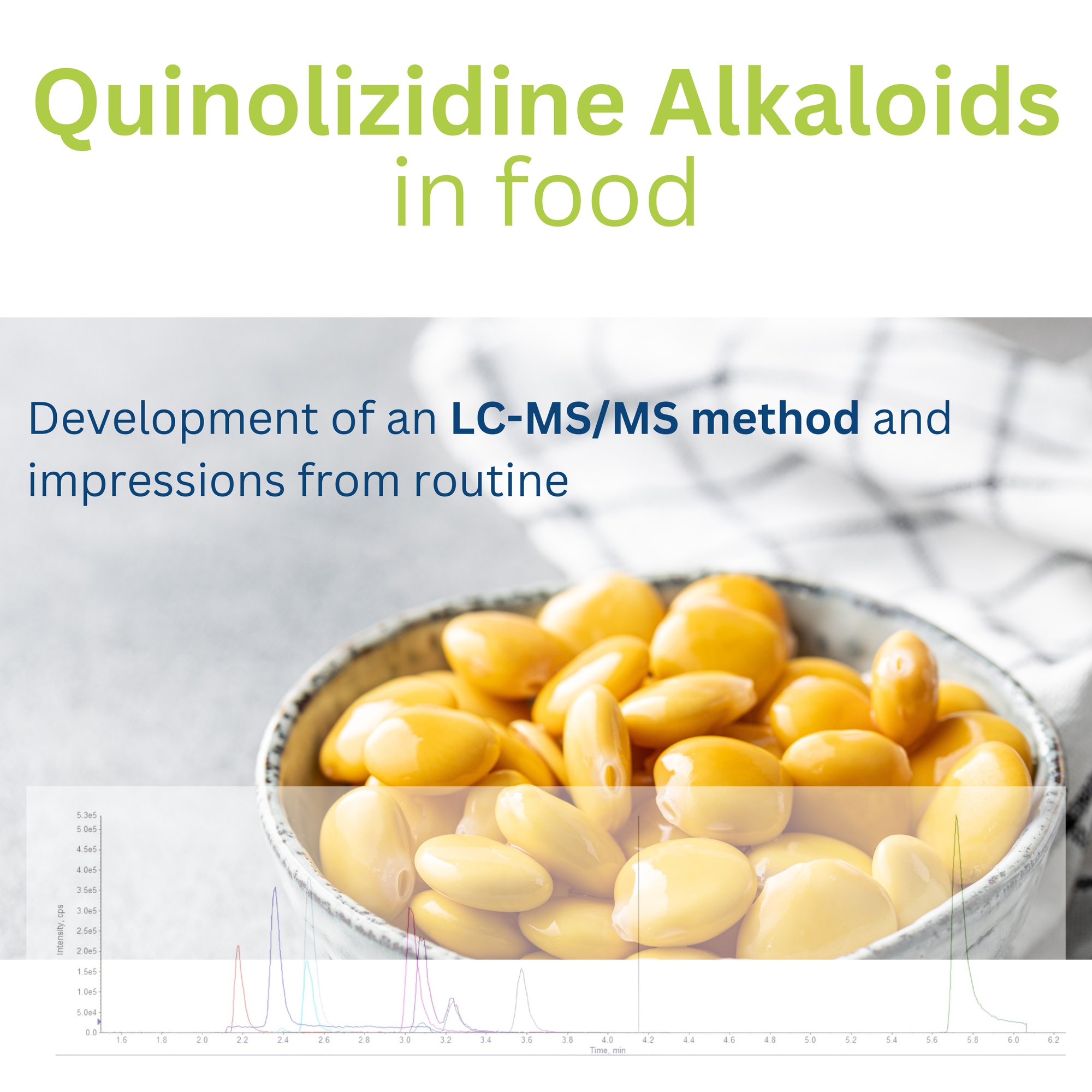 Poster Quinolizidine Alkaloids