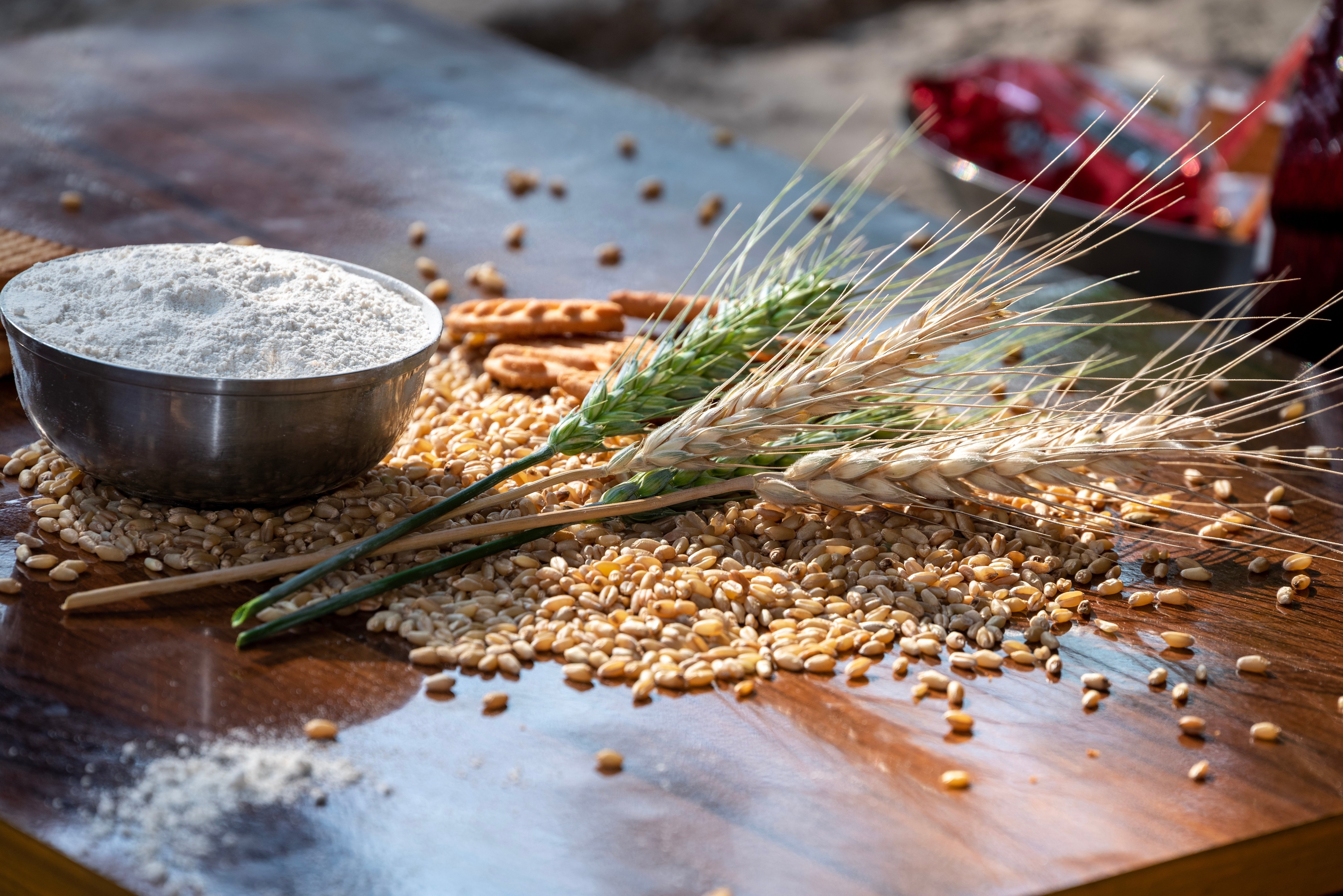 shutterstock_2586795899